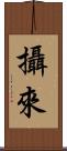 攝來 Scroll
