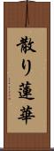 散り蓮華 Scroll