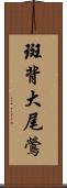 斑背大尾鶯 Scroll