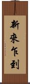 新來乍到 Scroll