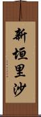 新垣里沙 Scroll