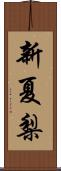 新夏梨 Scroll
