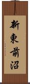 新東前沼 Scroll