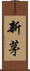 新茅 Scroll