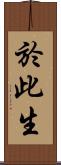 於此生 Scroll