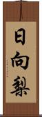 日向梨 Scroll