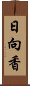 日向香 Scroll