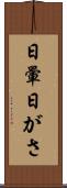 日暈 Scroll