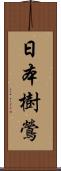 日本樹鶯 Scroll