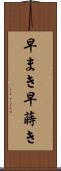 早まき Scroll