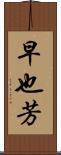 早也芳 Scroll
