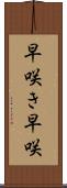 早咲き Scroll