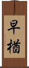 早楢 Scroll