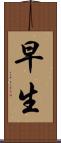 早生 Scroll