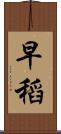 早稻 Scroll