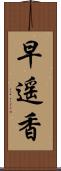 早遥香 Scroll