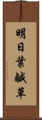 明日葉 Scroll
