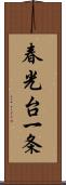 春光台一条 Scroll