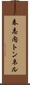 春志内トンネル Scroll