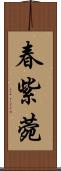 春紫菀 Scroll