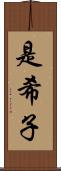 是希子 Scroll