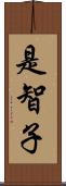 是智子 Scroll