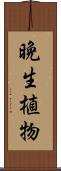 晩生植物 Scroll