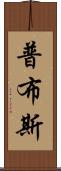 普布斯 Scroll