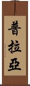 普拉亞 Scroll