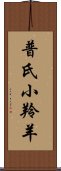 普氏小羚羊 Scroll