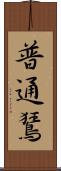 普通鵟 Scroll