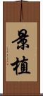 景植 Scroll