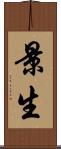 景生 Scroll