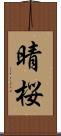 晴桜 Scroll