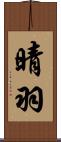晴羽 Scroll