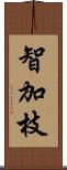 智加枝 Scroll