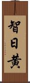 智日黄 Scroll