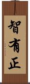 智有正 Scroll