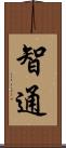 智通 Scroll