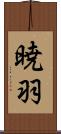 暁羽 Scroll