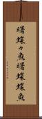 曙蝶々魚 Scroll