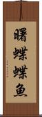曙蝶蝶魚 Scroll