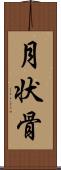 月状骨 Scroll