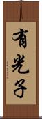 有光子 Scroll