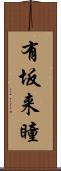 有坂来瞳 Scroll
