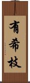 有希枝 Scroll