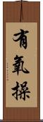 有氧操 Scroll
