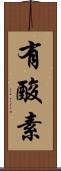 有酸素 Scroll