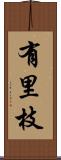 有里枝 Scroll