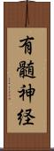 有髄神経 Scroll